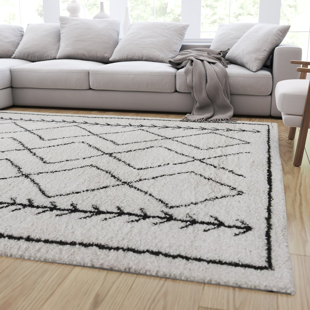 MystiqueDecors 4x6' Rug for Living Room - Natural White & Black Checke –  MystiqueDecors By AK